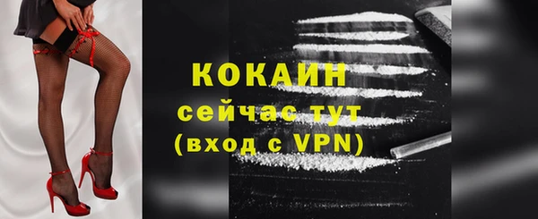 спайс Лагань