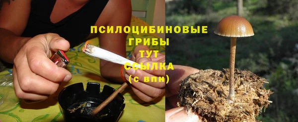 спайс Лагань