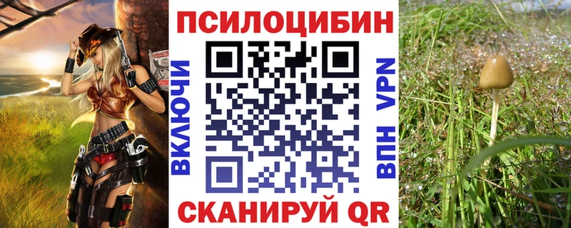 Псилоцибиновые грибы Psilocybine cubensis  Купить  Олёкминск 